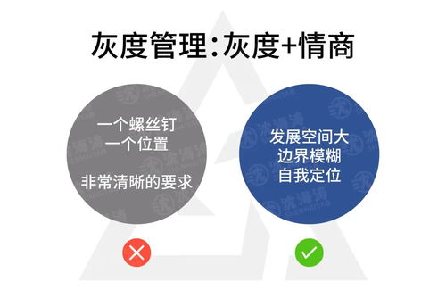 深度与洞察 无人能逃过的企业管理定律